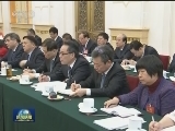 张德江参加江苏代表团审议