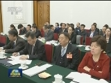 张德江参加宁夏代表团审议