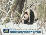 国内联播快讯