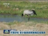 国内联播快讯