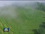陕西：发展优势产业 精准有效扶贫