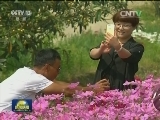 江西：美了村富了民 乡村旅游助脱贫