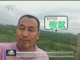 现代牧民 智慧牧场
