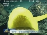 国内联播快讯