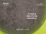 《探索发现》 20170820 荥阳明代大墓(下)CCTV节目官网CCTV10央视网(cctv.com)