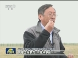 【砥砺奋进的五年·绿色发展 绿色生活】可可西里：用生命捍卫的世界自然遗产