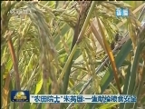 “农田院士”朱英国：一生献给粮食安全