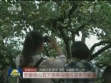 国内联播快讯