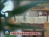 中国智慧为世界发展提供借鉴