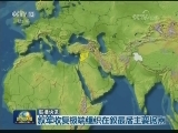 联播快讯