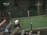 国际联播快讯