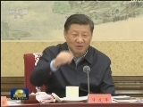 中共中央召开党外人士座谈会 征求对经济工作的意见和建议 习近平主持并发表重要讲话