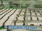 俄执政党宣布支持普京竞选总统