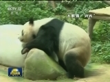 国际联播快讯