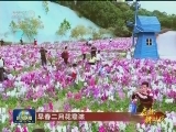 【启航新时代】早春二月花意浓