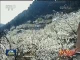 春天的中国