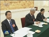 韩正参加天津代表团审议