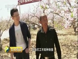 《生财有道》 20180501 乡村振兴中国行:走进河北深州CCTV节目官网CCTV2央视网(cctv.com)