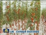 山西：打好特色牌 带动农民增收