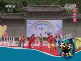 《大手牵小手》 20180623 走进丽水(一)CCTV节目官网CCTV14央视网(cctv.com)