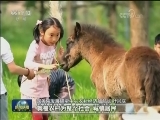 【在习近平新时代中国特色社会主义思想指引下——新时代 新作为 新篇章】我国乡村振兴战略全面开局