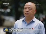 台风“安比”在上海登陆