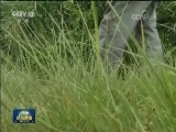 王明礼：独腿老兵扶贫战场显担当