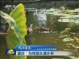 【大江奔流——来自长江经济带的报道】重庆：为有源头活水来