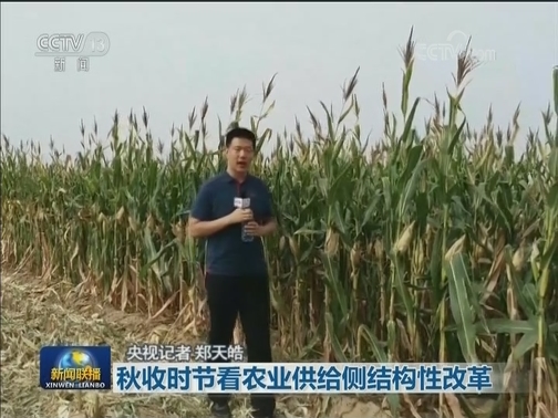 秋收时节看农业供给侧结构性改革