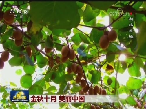 金秋十月 美丽中国