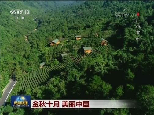 金秋十月 美丽中国