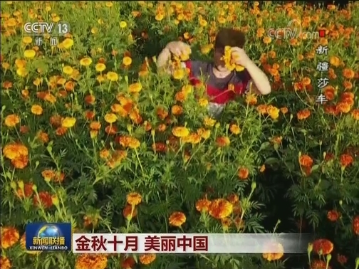 金秋十月 美丽中国
