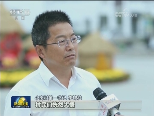 【壮阔东方潮 奋进新时代——庆祝改革开放40年】小岗村：三产融合 探索发展新路径