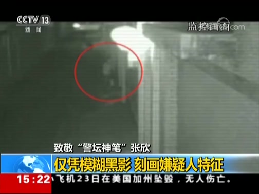 新闻直播间]致敬“警坛神笔”张欣仅凭模糊黑影刻画嫌疑人特征