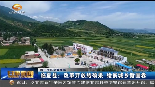 临夏县:改革开放结硕果 绘就城乡新画卷