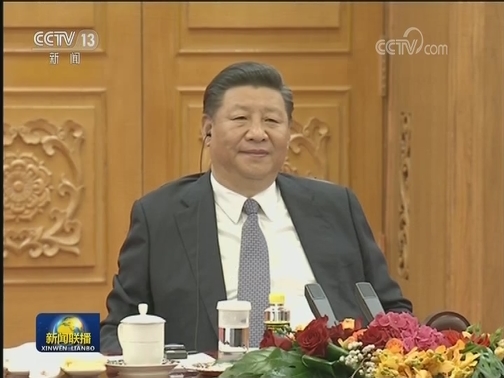 习近平同多米尼加总统举行会谈