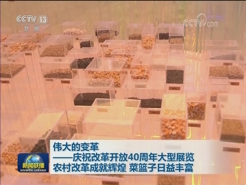 【伟大的变革——庆祝改革开放40周年大型展览】农村改革成就辉煌 菜篮子日益丰富