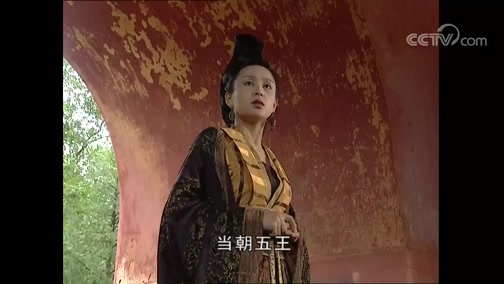 大明宫词 31集