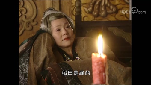 大明宫词 28集