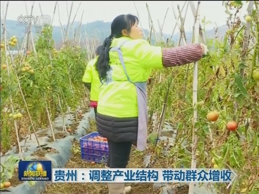 贵州：调整产业结构 带动群众增收
