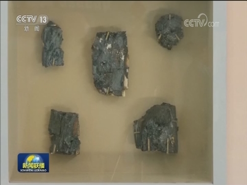 巴西国博火灾后首次开展