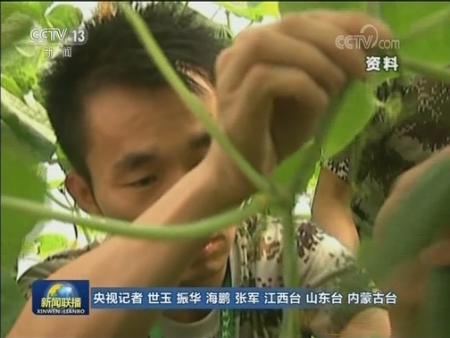 最美退役军人：退伍不褪色 建功新时代