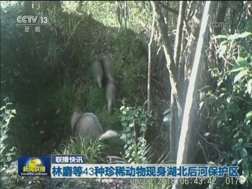 国内联播快讯