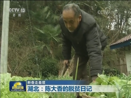 【新春走基层】湖北：陈大香的脱贫日记