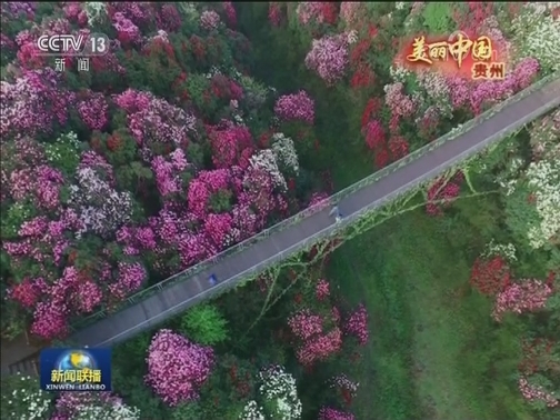 美丽中国