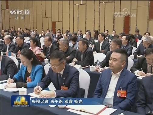 汪洋与经济 农业界别政协委员共商国是