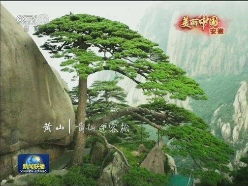 美丽中国