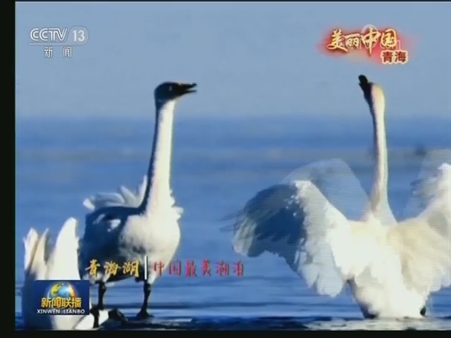 美丽中国