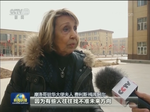 多国驻华使节和外交官在新疆参观访问