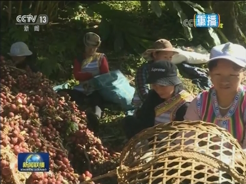 “更好的日子还在后头”——习近平总书记对独龙江乡亲们的回信勉励引发热烈反响